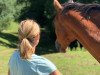 dressage horse Leonardo Elvis (Hessian Warmblood, 2003, from Chequille 2)