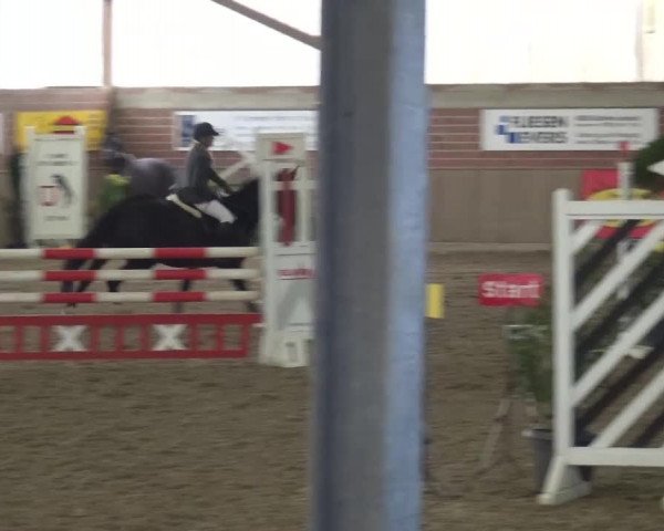 Reitturnier Lembeck 2017