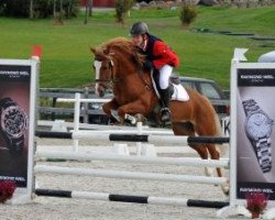 horse Fuglekildes Cassandra (New Forest Pony, 1999, from Malibu II)