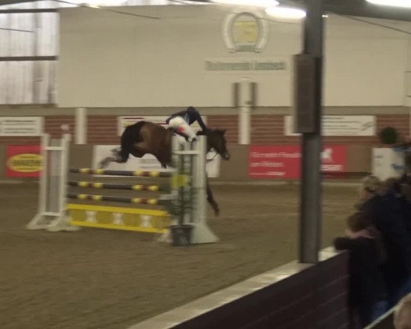 Reitturnier Lembeck 2017
