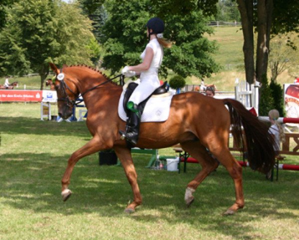 horse Rubi (Westphalian, 2007, from Rosenkoenig)