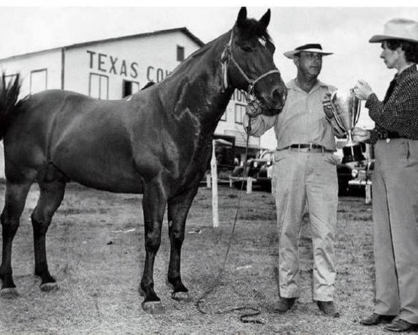 Deckhengst Star Deck (Quarter Horse, 1940, von Oklahoma Star)