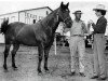 Deckhengst Star Deck (Quarter Horse, 1940, von Oklahoma Star)