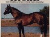 stallion Doc A'Lock (Quarter Horse, 1974, from Doc Bar)