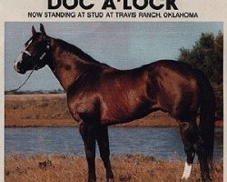 stallion Doc A'Lock (Quarter Horse, 1974, from Doc Bar)