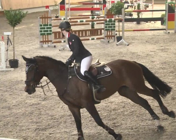 Reitturnier Illertissen 2017