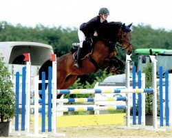 broodmare Paula N (Oldenburg show jumper, 2013, from Ustinov)