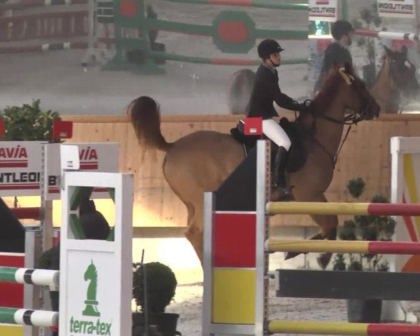 Reitturnier Illertissen 2017
