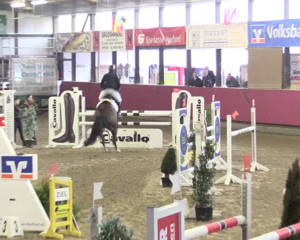 Hallenreitturnier Vlotho-Exter 2017