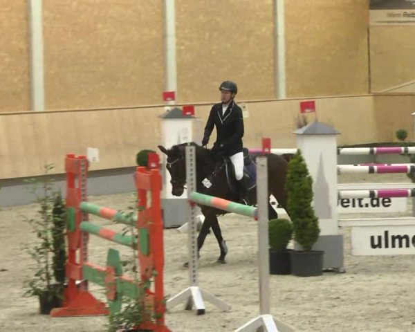 Reitturnier Illertissen 2017