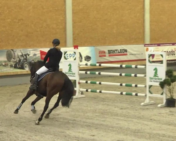 Reitturnier Illertissen 2017