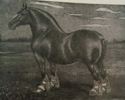 stallion Baron Russell (Clydesdale,  , from Baronson)