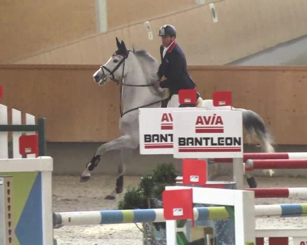 Reitturnier Illertissen 2017