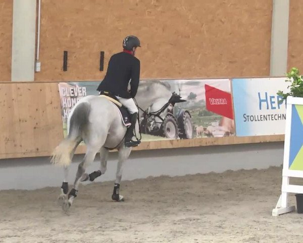 Reitturnier Illertissen 2017