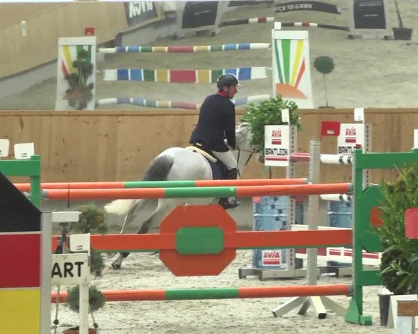 Reitturnier Illertissen 2017