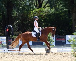 dressage horse Heaven de Jeu (KWPN (Royal Dutch Sporthorse), 2012, from President's Chagall D&r)