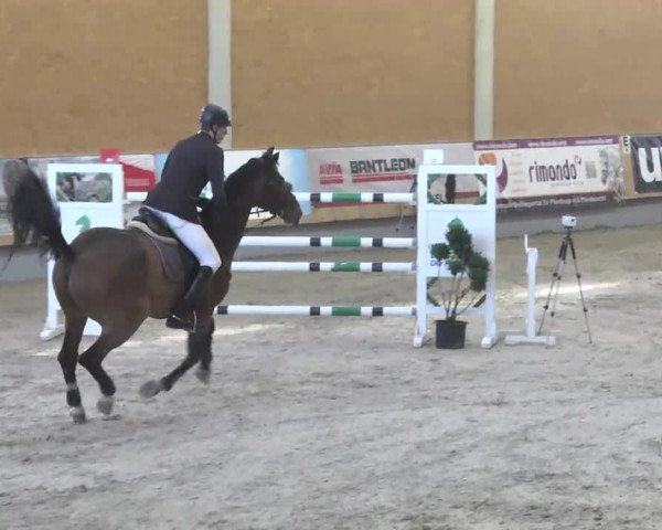 Reitturnier Illertissen 2017