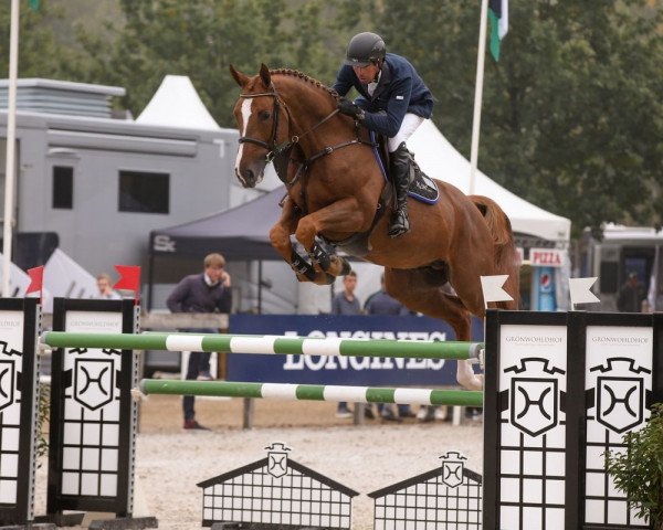 stallion Figaro de Kalvarie (Belgium Sporthorse, 2011, from Aganix du Seigneur)