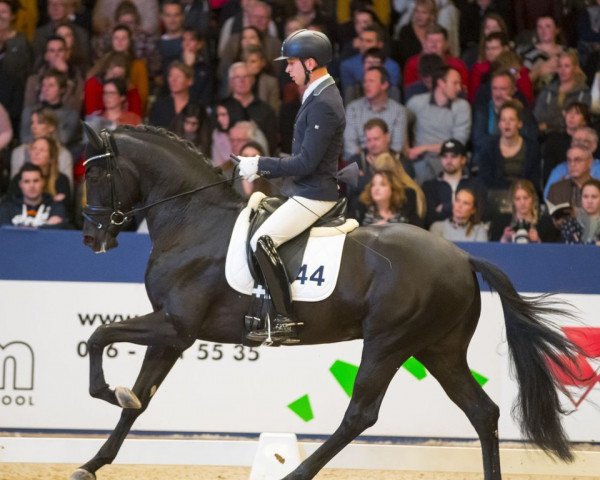 stallion Jerveaux de Baian (KWPN (Royal Dutch Sporthorse), 2014, from Ferdeaux)