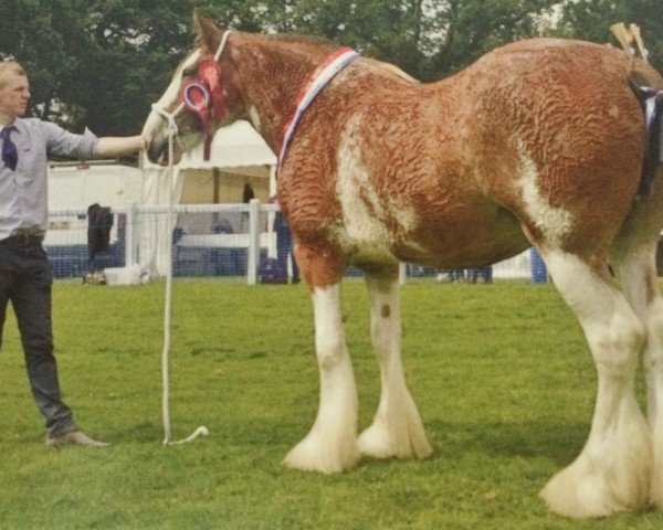 broodmare Westbank Ruby Tuesday (Clydesdale, 2007, from Doura Above All)