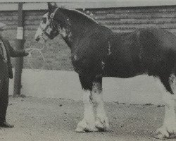 stallion Croydon Favourite (Clydesdale, 1933)