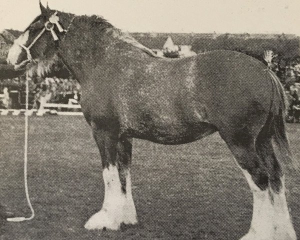 broodmare Clifton Nellie Dene (Clydesdale, 1955, from Balgreen Final Command)