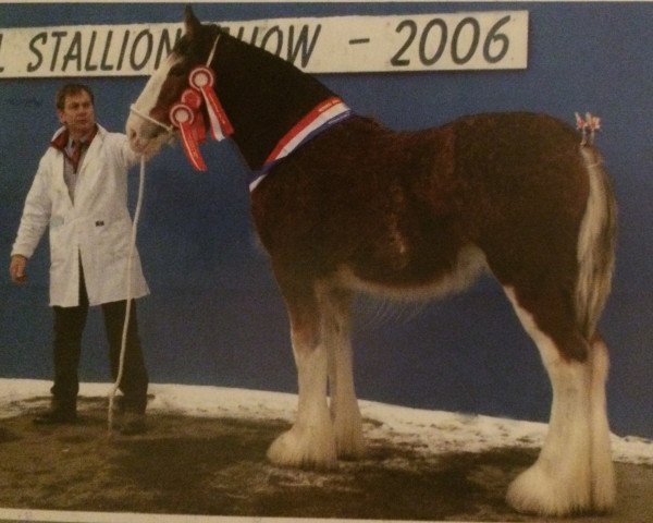 Deckhengst Deighton Designer (Clydesdale, 2005, von Collessie Cut Above)