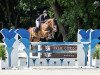 jumper Copa del Rey (Oldenburg show jumper, 2011, from Contendros 2)