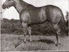 stallion Doc's Solano (Quarter Horse, 1971, from Doc Bar)