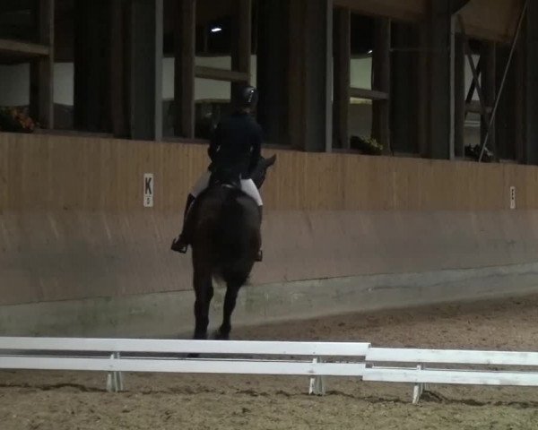 Reitturnier Mettmann - Reitanlage Löckenhoff 2017
