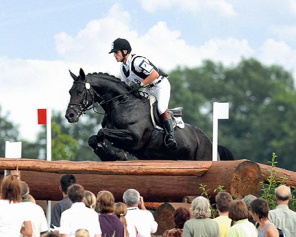 horse Grafenstolz (Trakehner, 1998, from Polarion)