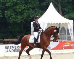 dressage horse Elvis (Hanoverian, 2004, from El Bundy)