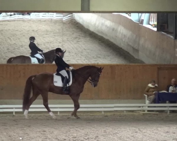 Reitturnier Mettmann - Reitanlage Löckenhoff 2017