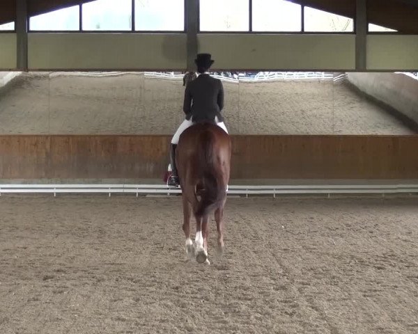 Reitturnier Mettmann - Reitanlage Löckenhoff 2017