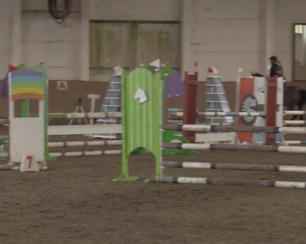 Christmas Jumping Trophy Prussendorf 2021