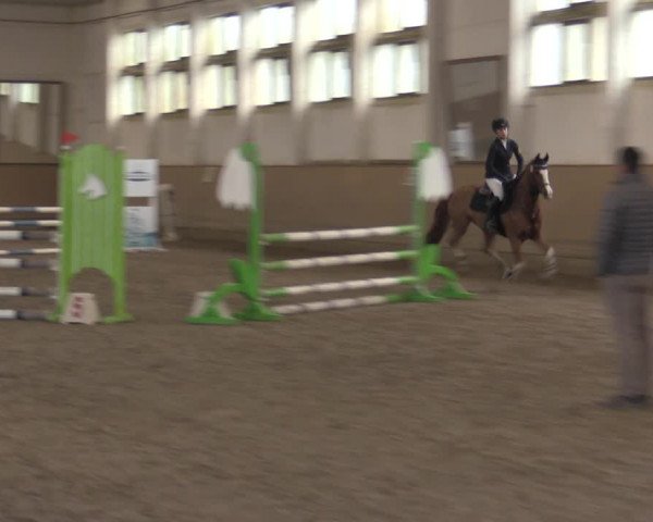 Christmas Jumping Trophy Prussendorf 2021