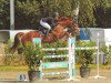 jumper Tamina 120 (German Warmblood, 2006, from Pilotus)