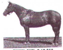 broodmare Evans' Duel (Quarter Horse, 1952, from Little Dandy)