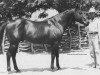 Deckhengst Band Play (Quarter Horse, 1934, von Band Time xx)