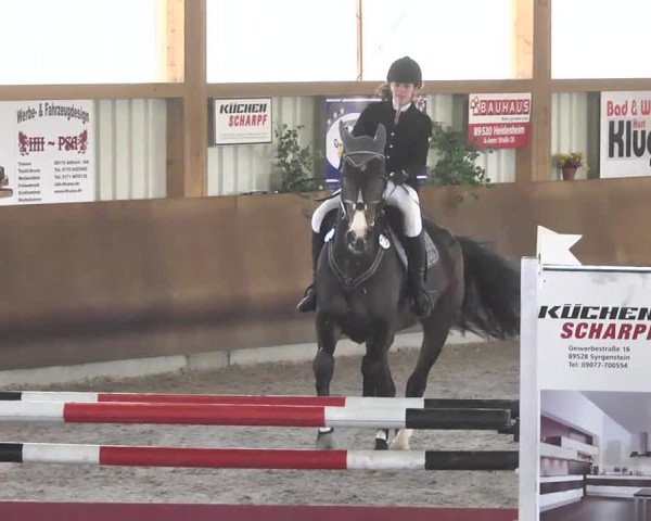 Reitturnier Dettingen 2017