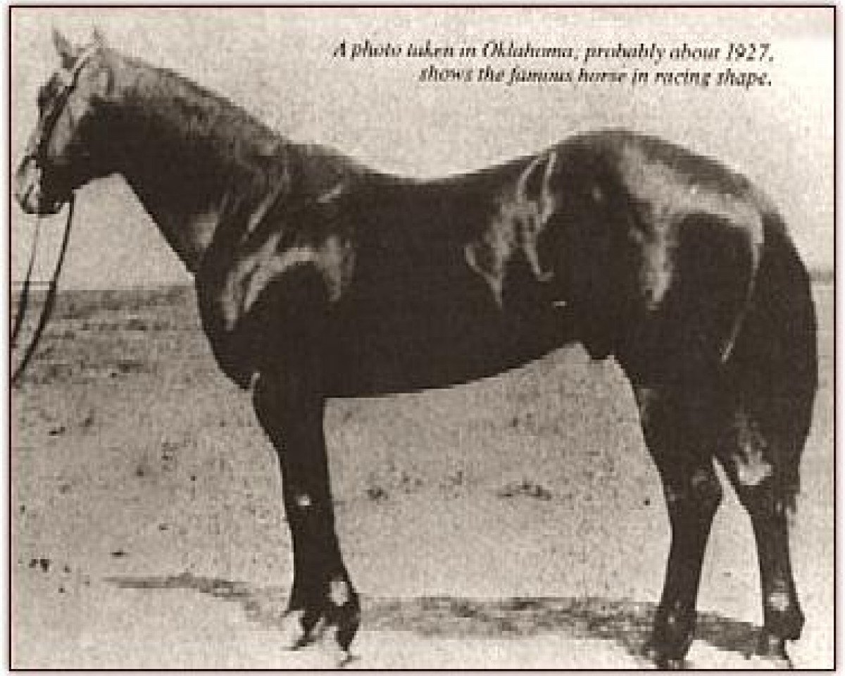 Deckhengst Joe Hancock (Quarter Horse, 1923, von John Wilkens)