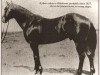 Deckhengst Joe Hancock (Quarter Horse, 1923, von John Wilkens)