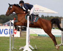 jumper Near By Nemo (Oldenburg show jumper, 2013, from Numero Uno)