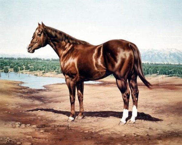 Deckhengst Skipper W (Quarter Horse, 1945, von Nick Shoemaker)