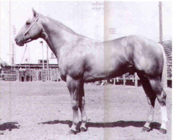 Deckhengst Silver Skip (Quarter Horse, 1954, von Skipper W)