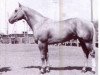 stallion Silver Skip (Quarter Horse, 1954, from Skipper W)