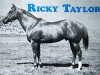 stallion Ricky Taylor (Quarter Horse, 1954, from Custus Rastus xx)