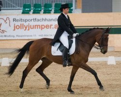 broodmare Un' Accortezza Reale (Trakehner, 1998, from Kokoschka)