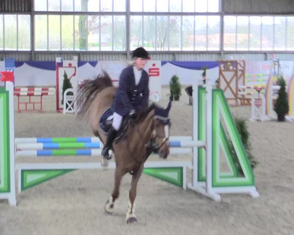 Reitturnier Greven 2017