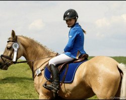 jumper Minou 133 (German Riding Pony, 2010, from Centauro's Golden Flashlight)